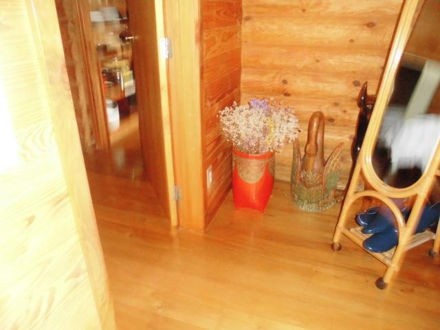 Log Cottage Villa Happo Hakuba Buitenkant foto